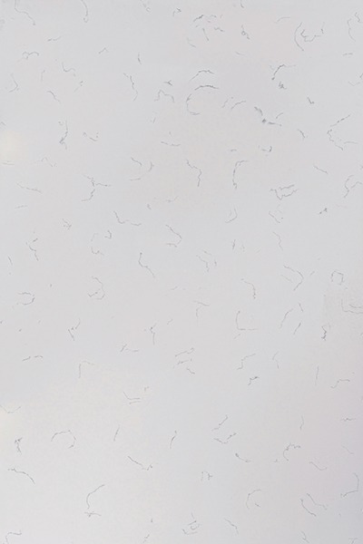 Whisper Frost